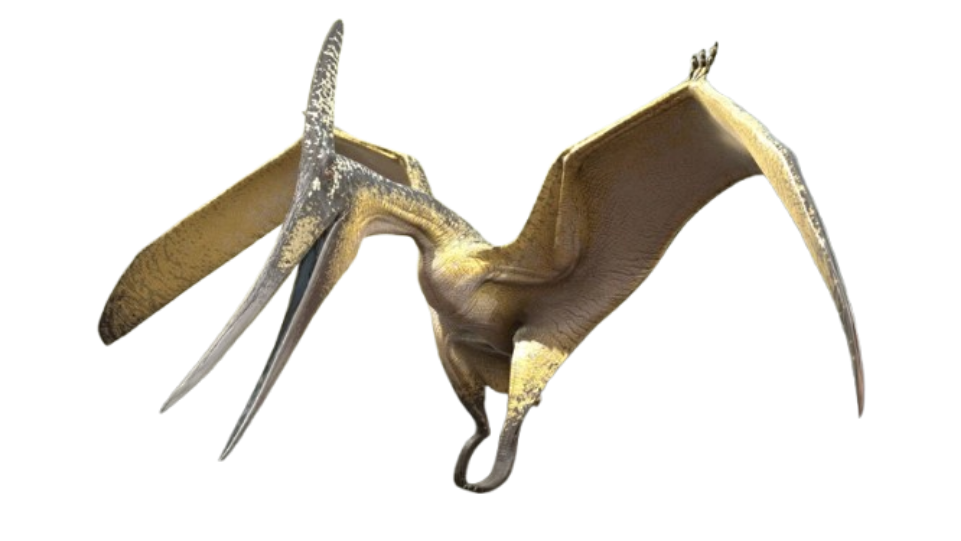 Pteranodon