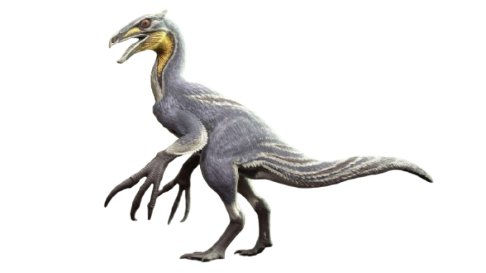 Beipiaosaurus