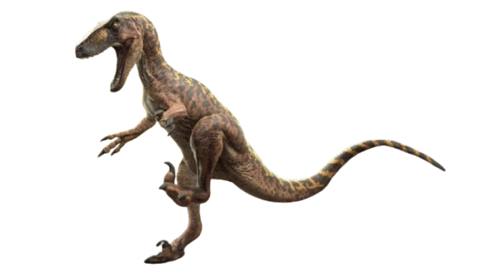 Omniraptor