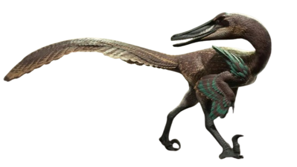Austroraptor