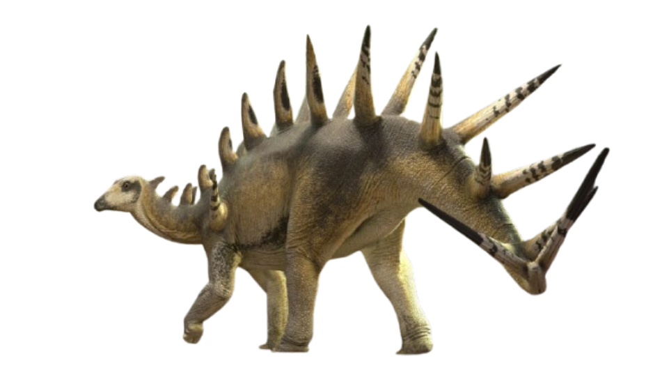 Kentrosaurus