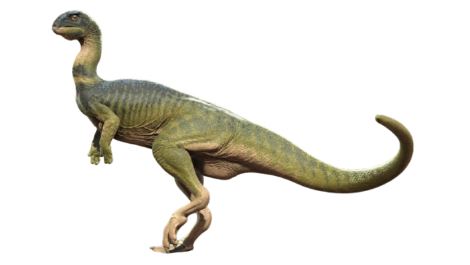 Dryosaurus