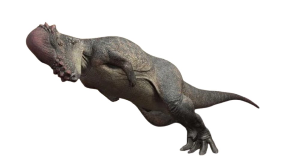 Pachycephalosaurus