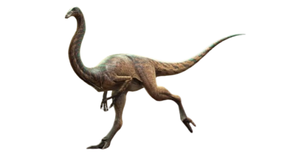 Gallimimus