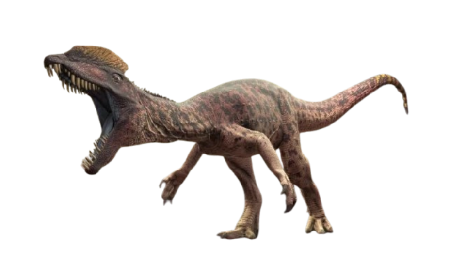 Dilophosaurus