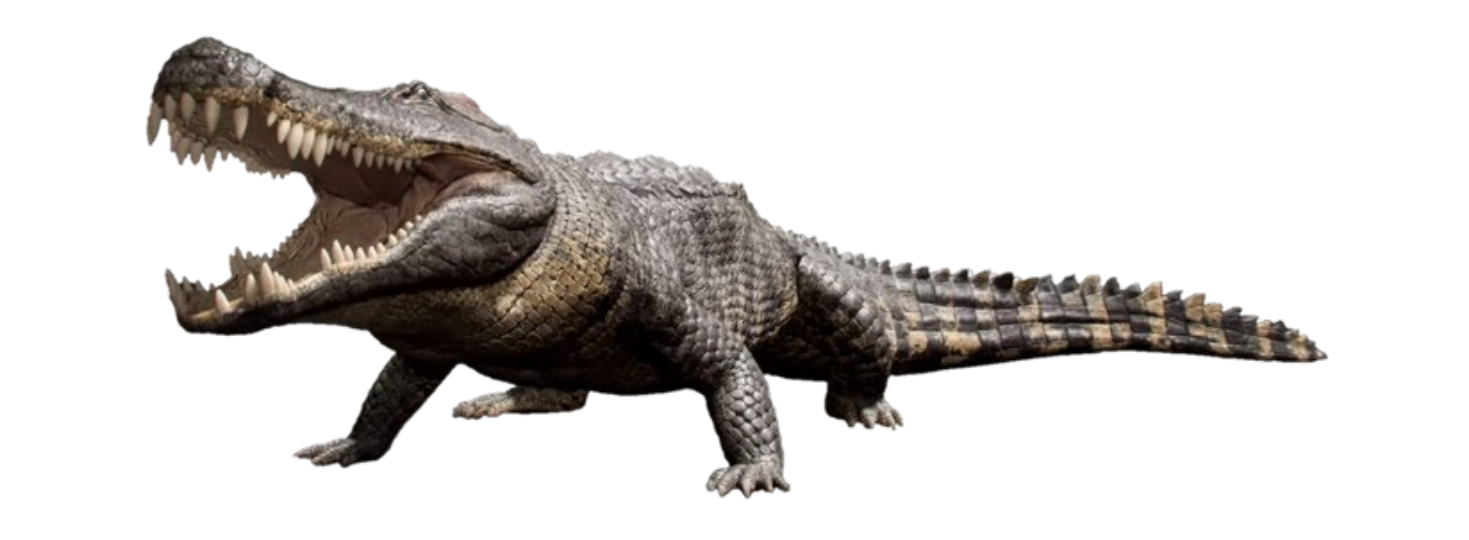 Deinosuchus