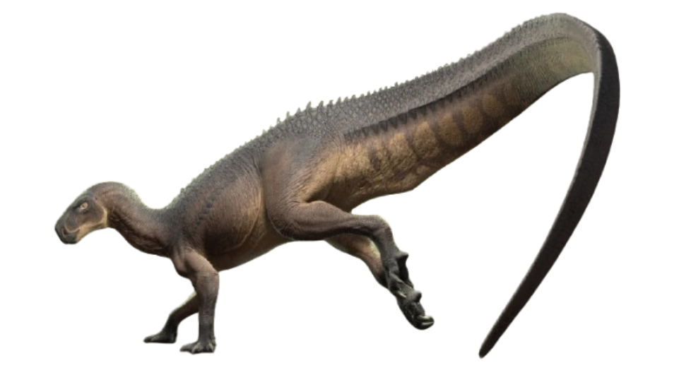 Tenontosaurus