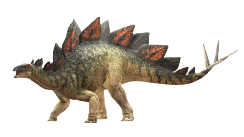 Stegosaurus